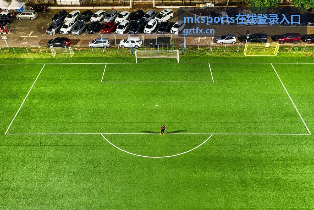 mksports在线登录入口登录页字段与按钮位置示意