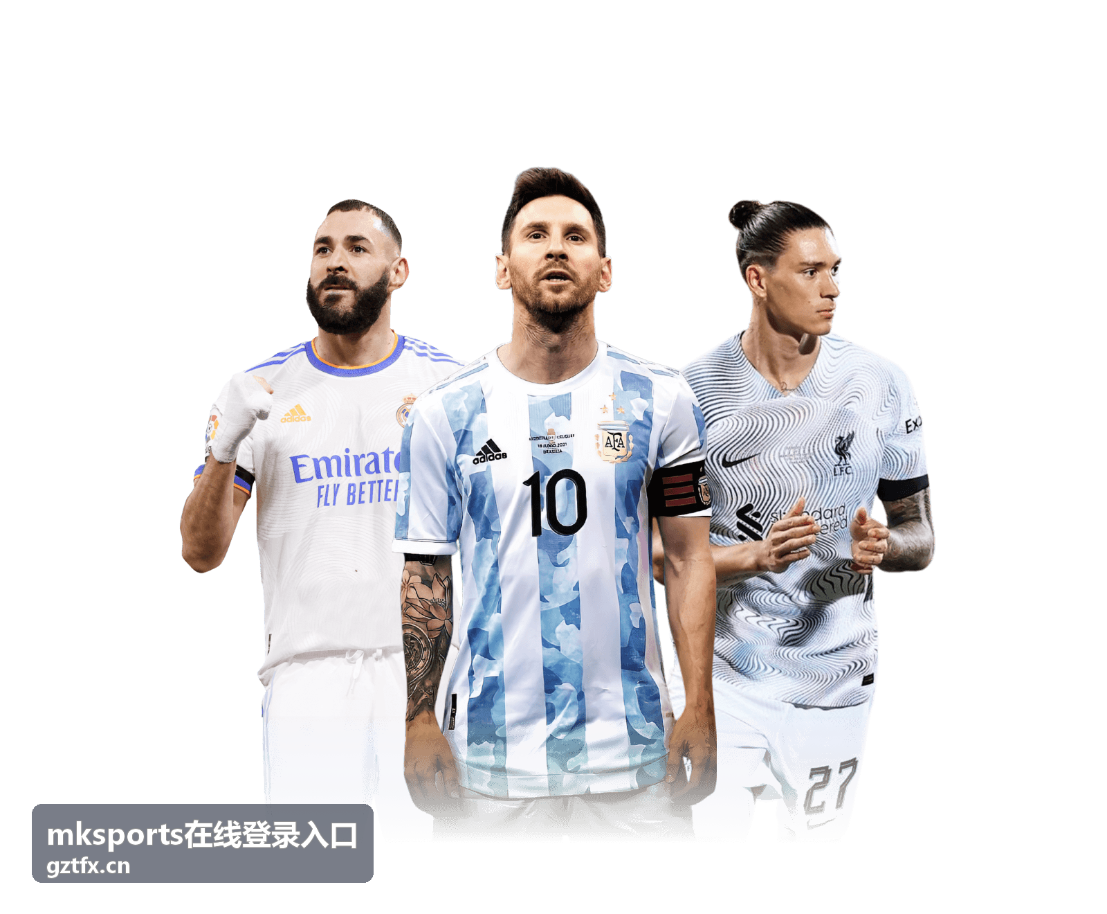 mksports在线登录入口入口核验对照要点配图