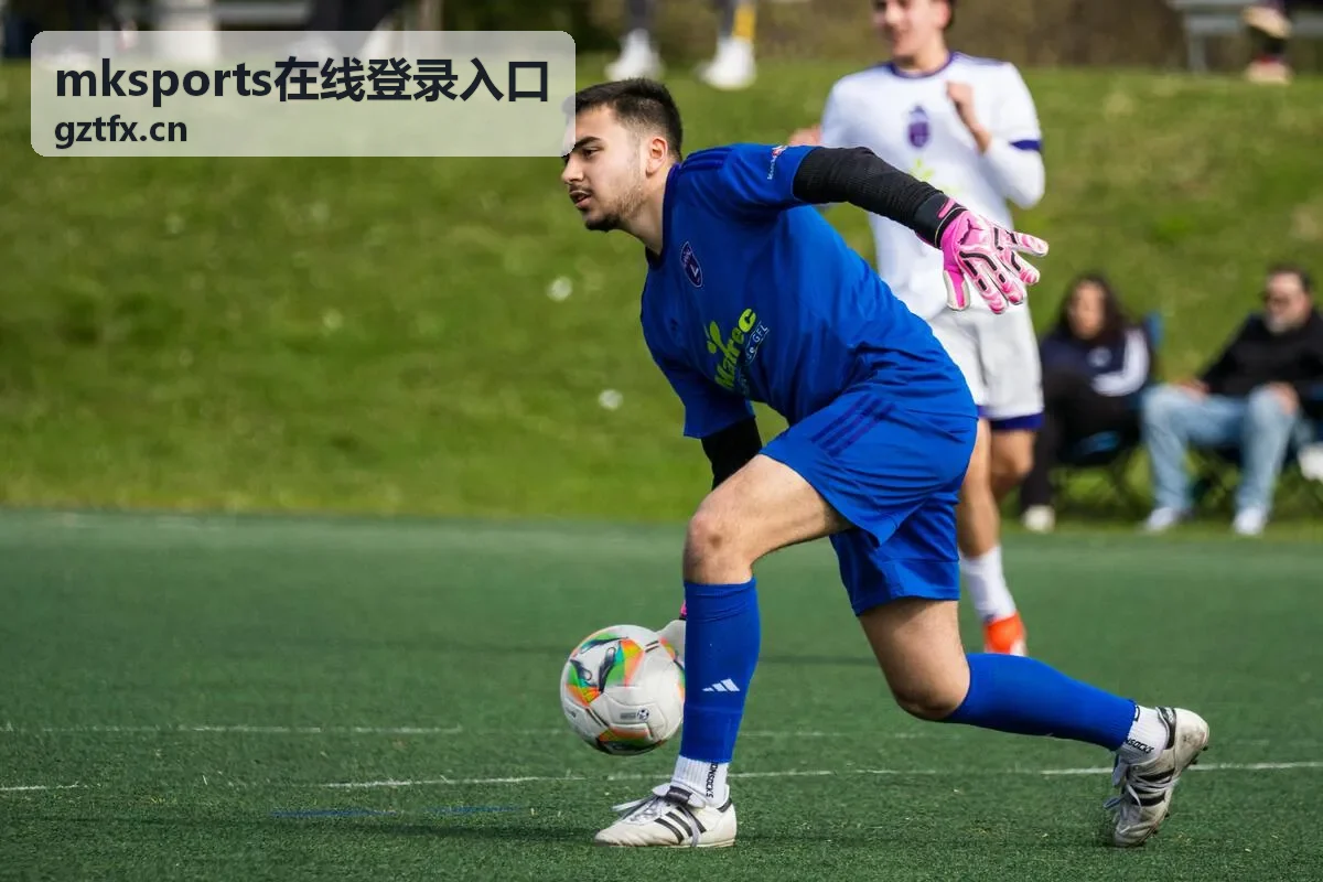 mksports在线登录入口账号与密码输入框填写示意