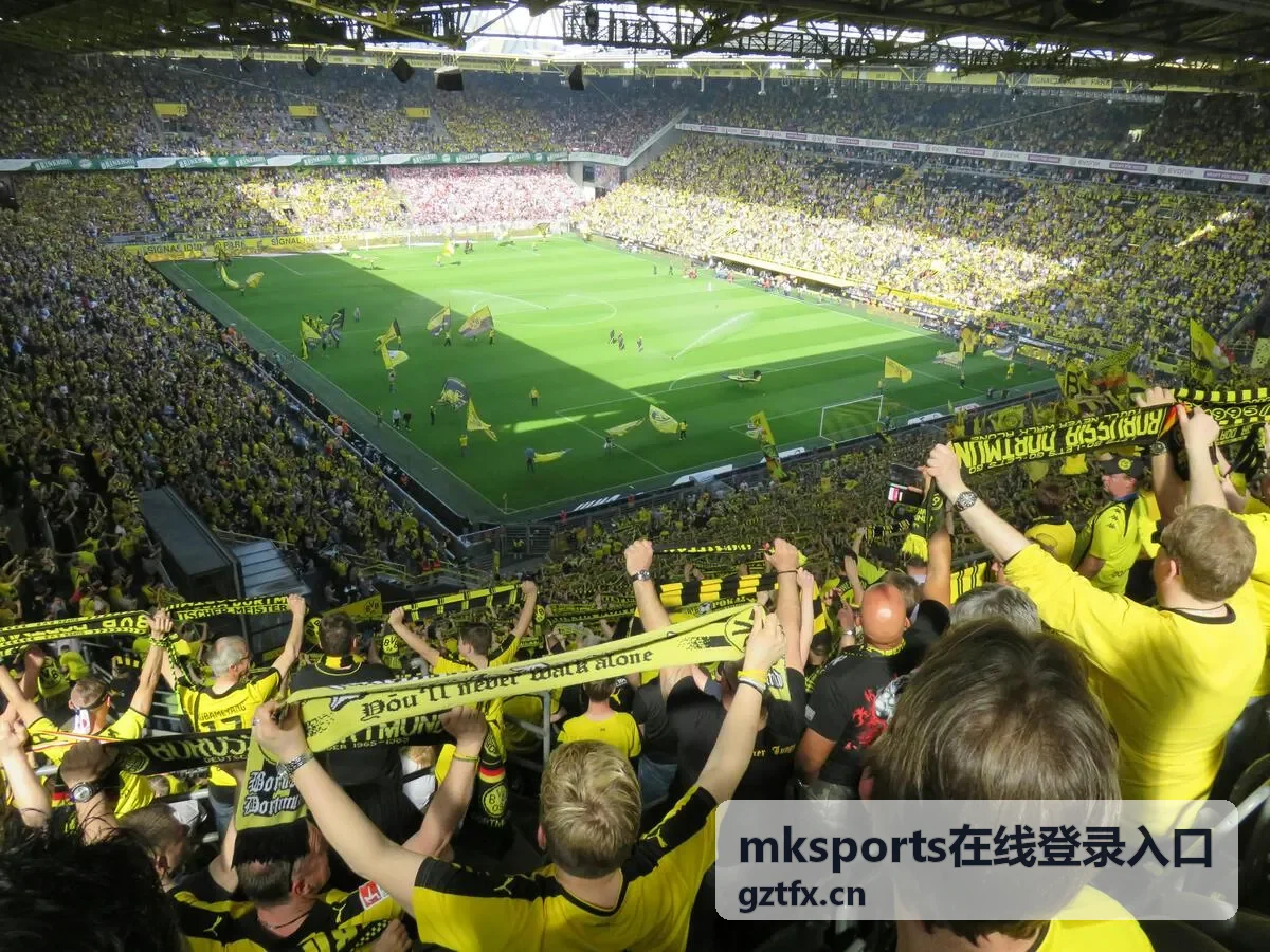 mksports在线登录入口账号安全防护检查清单配图