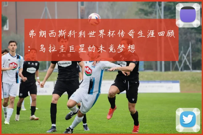 弗朗西斯科利世界杯传奇生涯回顾：乌拉圭巨星的未竟梦想