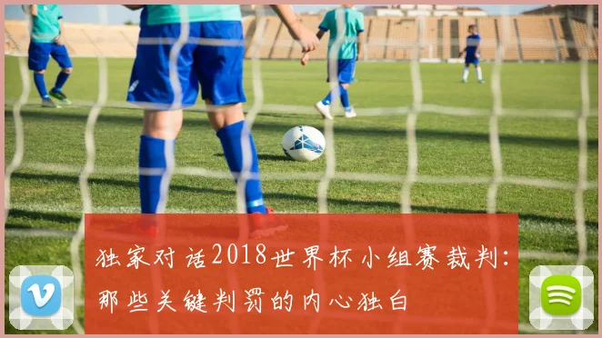 独家对话2018世界杯小组赛裁判：那些关键判罚的内心独白
